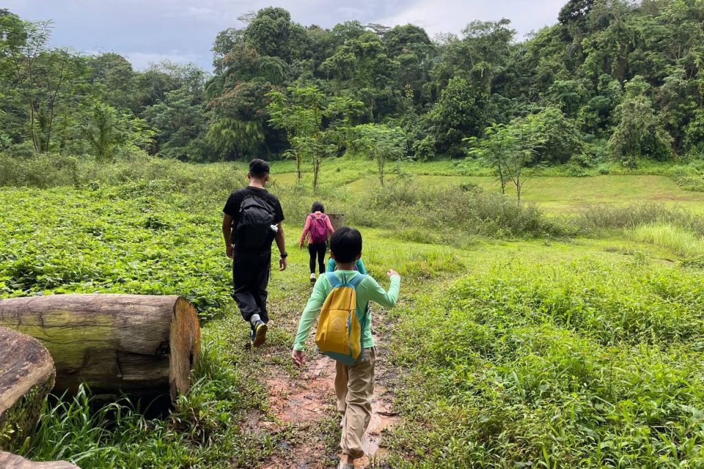 teaching in singapore, forest school for students with special needs, make learning fun for kids